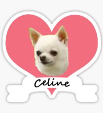 Image result for celine mr g